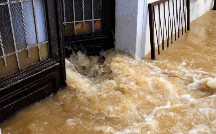 How to Prevent Secondary Damage During Flood Cleanup